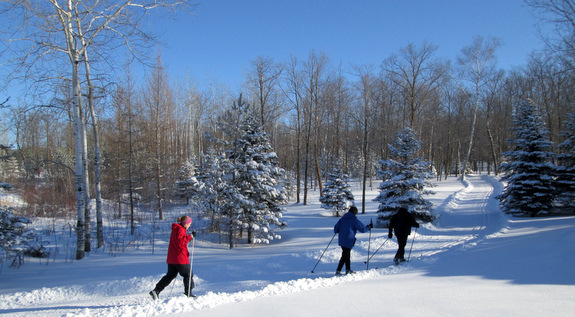 Winter wonderland skiing conditions after 6" of fresh snow early Saturday morning. January 18th, 2014.