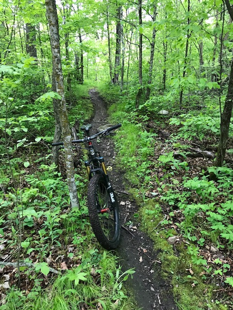 Singletrack riding, May 25th, 2017.