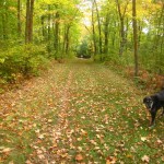 Fall colors looking great!