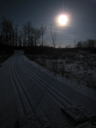 Grooming under the moonlight, December Full moon 2007