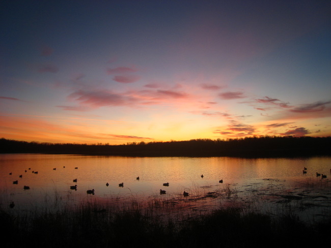 Beautiful morning on Island Lake