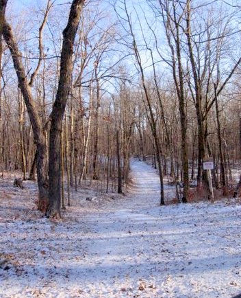 Photo taken December 1st on Sukkerbusk ski trail.