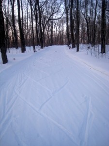 Slow conditions for skating the past few days. Still a few folks out giving it a go.