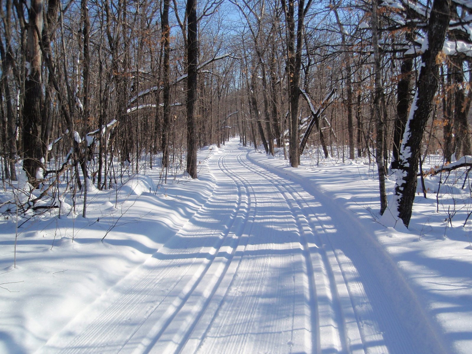 Photo taken by Steve Wenzel on the "wavy" section of Wavy Gravy.