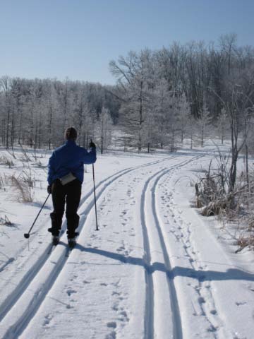 Photo taken by Brad Olson on Island Lake trail in between the Twin Lakes.