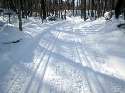 feb02-01 Twin Lakes trail fresh groomed on Sunday and excellent skiing right now.