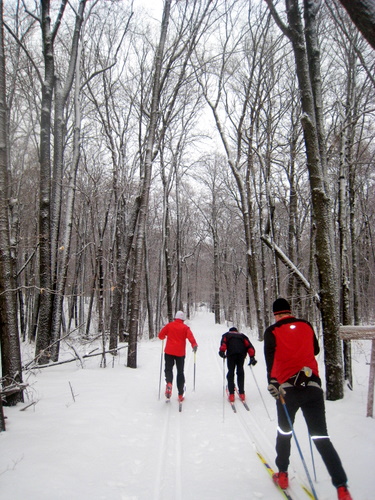 feb11-3 Dan, Jake and Dylan striding on Sukkerbusk.