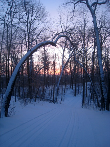 Saturday morning sunrise looking down Mother North Star. Easy to identify basswood trees in the forest.