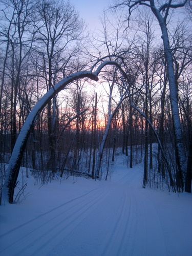 feb21-01 Saturday morning sunrise looking down Mother North Star. Easy to identify basswood trees in the forest.