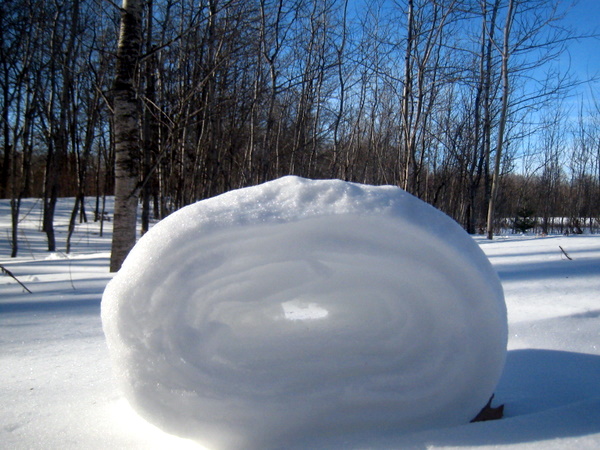 A large snow roller in Roy's field. 