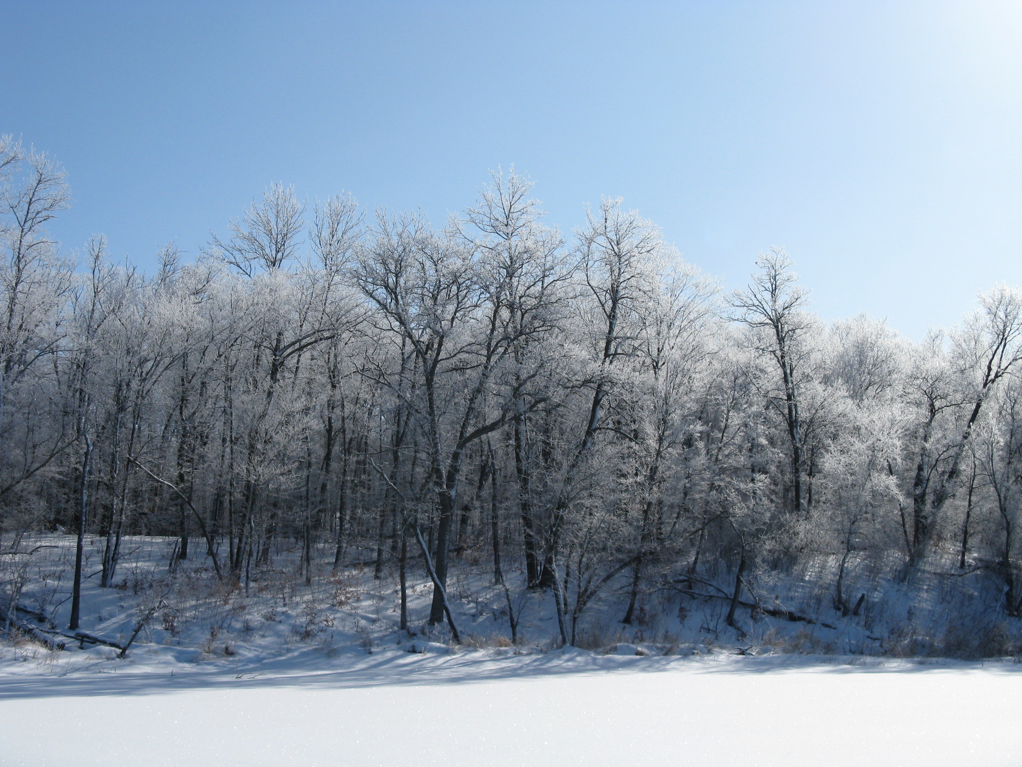Photo taken by Nanette Moloney of frosted trees from Little Sugarbush.