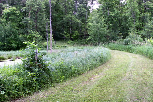 Mother North Star ski trail mowed nicely, Tuesday July 14th.