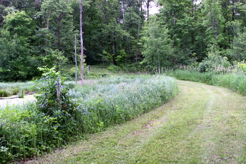 july14-2 Mother North Star ski trail mowed nicely, Tuesday July 14th.