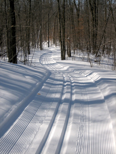 Maplelag grooms three trails singletrack classic, including Roy's Run above.