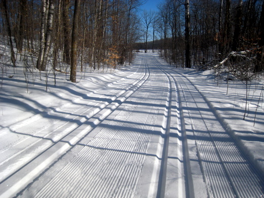 Fresh tracks on double green trail towards Bullhead lake. 