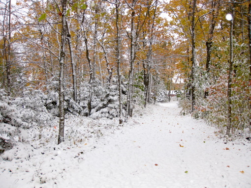 Fresh snow on Loon Return ski trail Saturday morning.