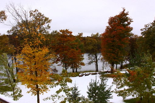 It has been an interesting month of October with a mix of Winter yet Fall still is hanging on with color here and there throughout the woods. 