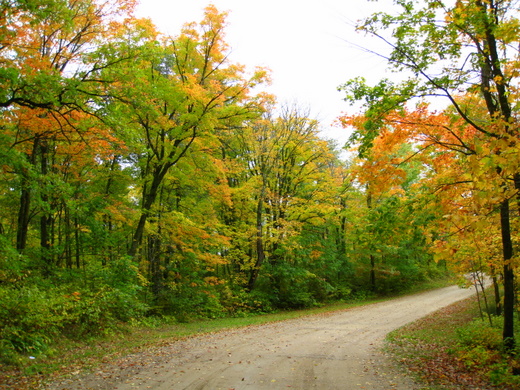 Heading down the Maplelag driveway Friday evening.