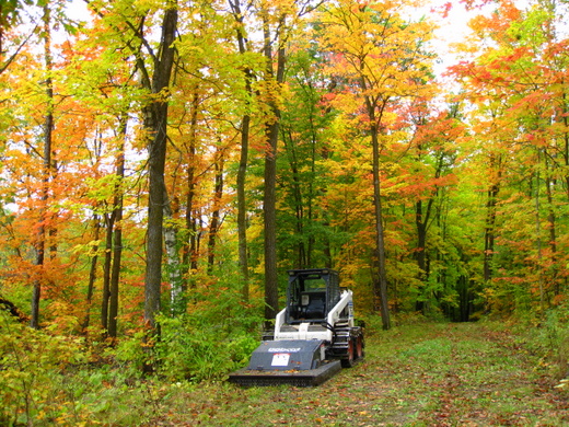 Clearing on the trails Monday morning.