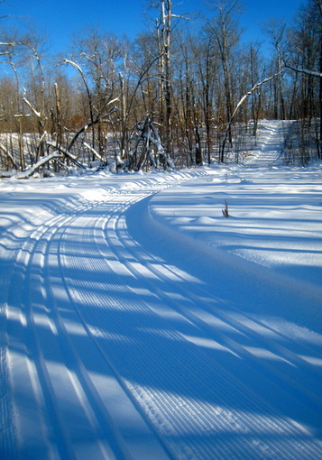 Rootin Tootin ski trail passing through a slough area after Bjorg's Stump.