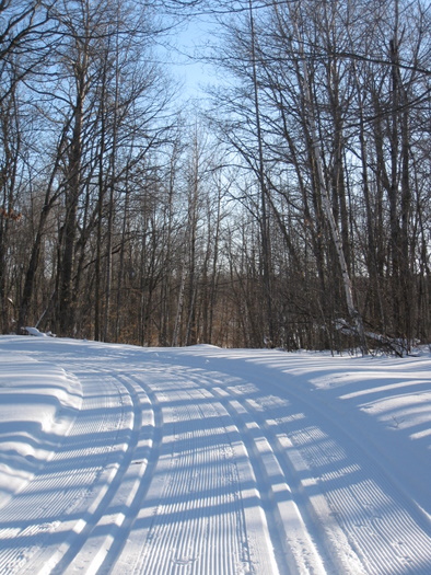 feb24-02 Loon Return
