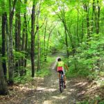 Summer Trail Pass
