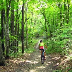 Summer Trail Pass