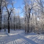 Winter Trail Day Pass - Individual
