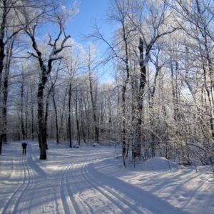 Winter Trail Day Pass - Individual