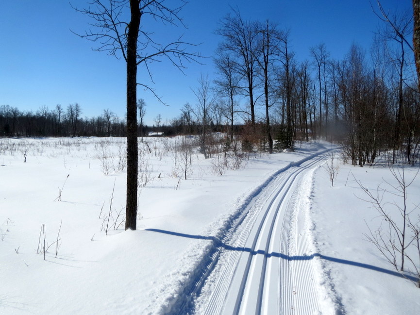 Snow level with trail and top of slough. Not often this has been seen!