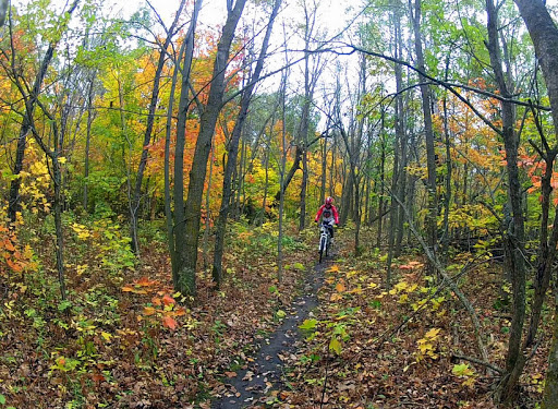 Twin Lakes singletrack, October 4th, 2013.