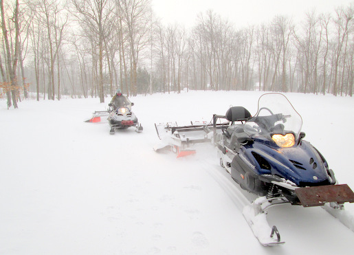 Afternoon grooming in the "blizzard" January 26th, 2014.