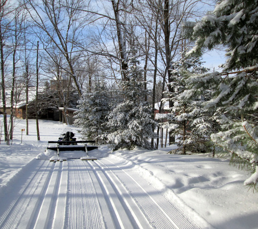 Fresh snow and fresh grooming refreshing the trails nicely today. January 14th, 2014.