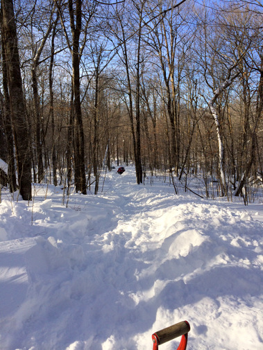 Shoveling path through a drifted section on Roy's Run..