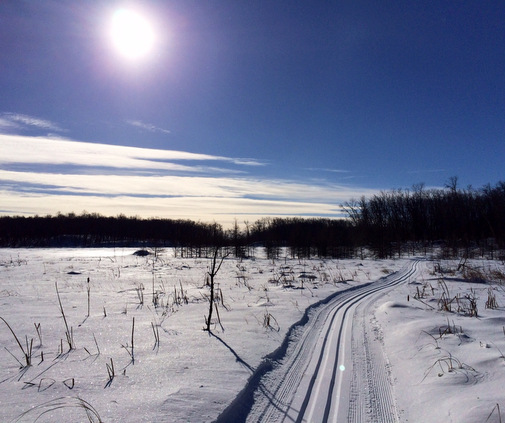Fresh track in between Twin Lakes on Wavy Gravy and Island Lake trails. January 30th, 2014.