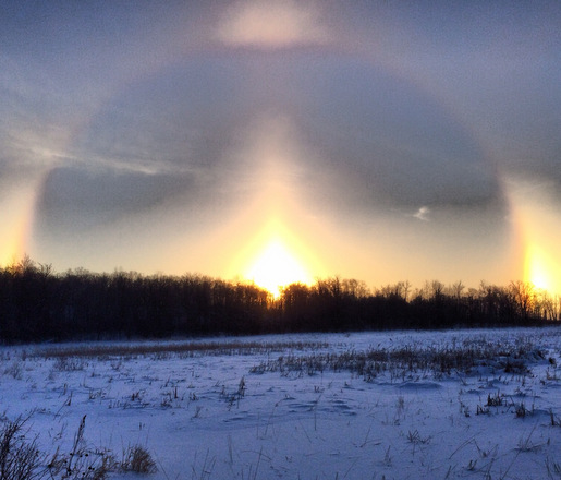 Sun dogs over Maplelag, January 25th, 2014.