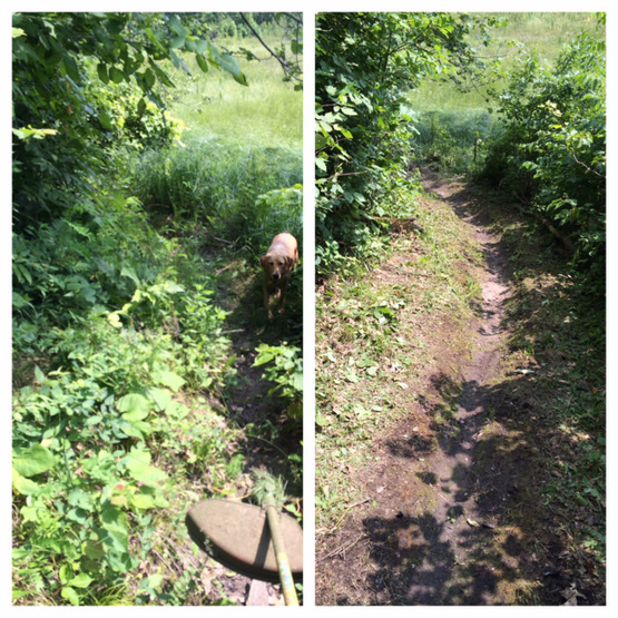 Before and after trail work on "Fargo" singletrack. July 18th, 2014.