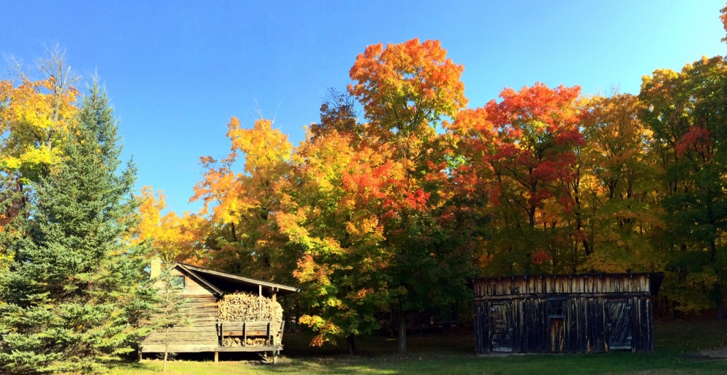 Fall color scene near the Finish Log cabin. September 25th, 2014.