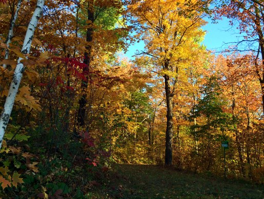 Start of North Loup ski trail. September 27th, 2014. Some great colors in the woods still.