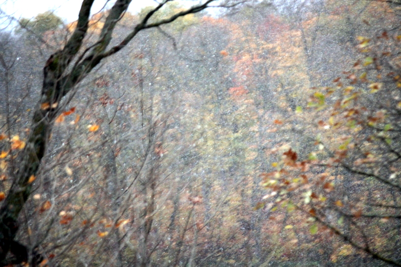 First flakes of snow for the season. October 3rd, 2014.