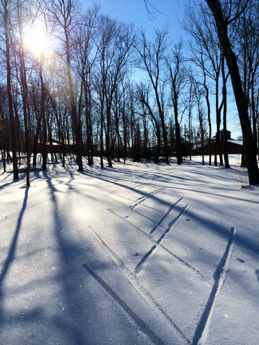Fresh tracks under brilliant sunshine. December 3rd, 2014.