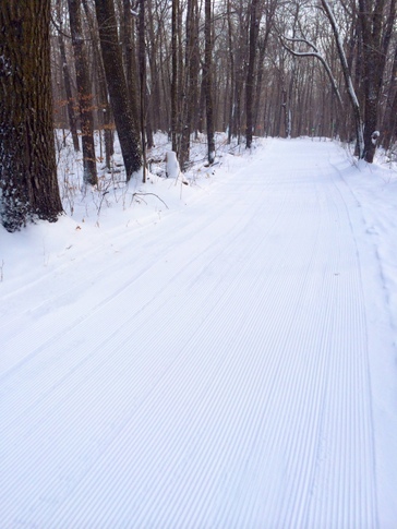 Skaters Waltz taking shape after snow farming this week and 6 passes today with groomer. January 8th, 2015.