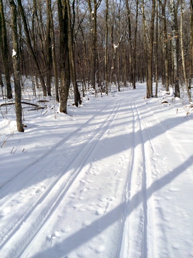 Sukkerbusk ski trail with dusting of new snow and tracks skied in by skiers today. January 15th, 2015.