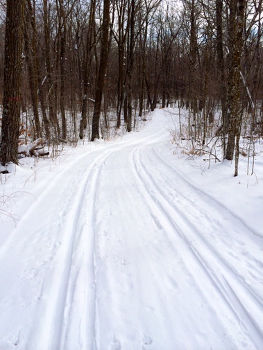 Sukkerbusk ski trail with dusting of new snow and tracks skied in by skiers today. January 15th, 2015.