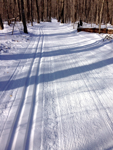 Fresh track on the side of Skaters Waltz for today's Section 8 Nordic Ski Championships. February 2nd, 2015.
