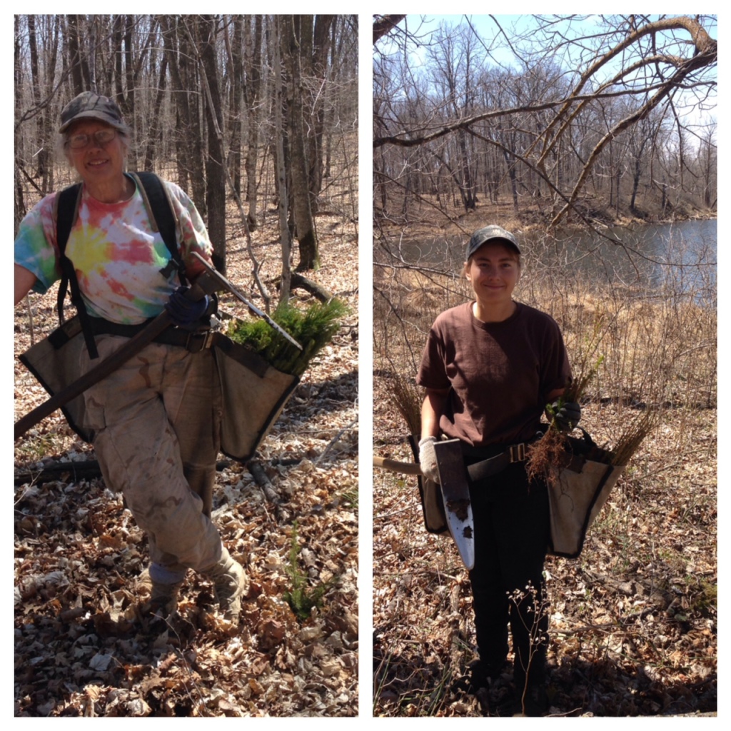 Kira and Anna planting trees near Twin Lakes this week. April 28th, 2015.