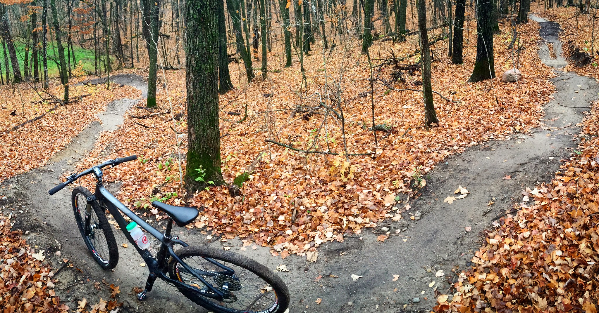 Checking out the new trail built last spring, Hudson's Hula. October 23rd, 2015.