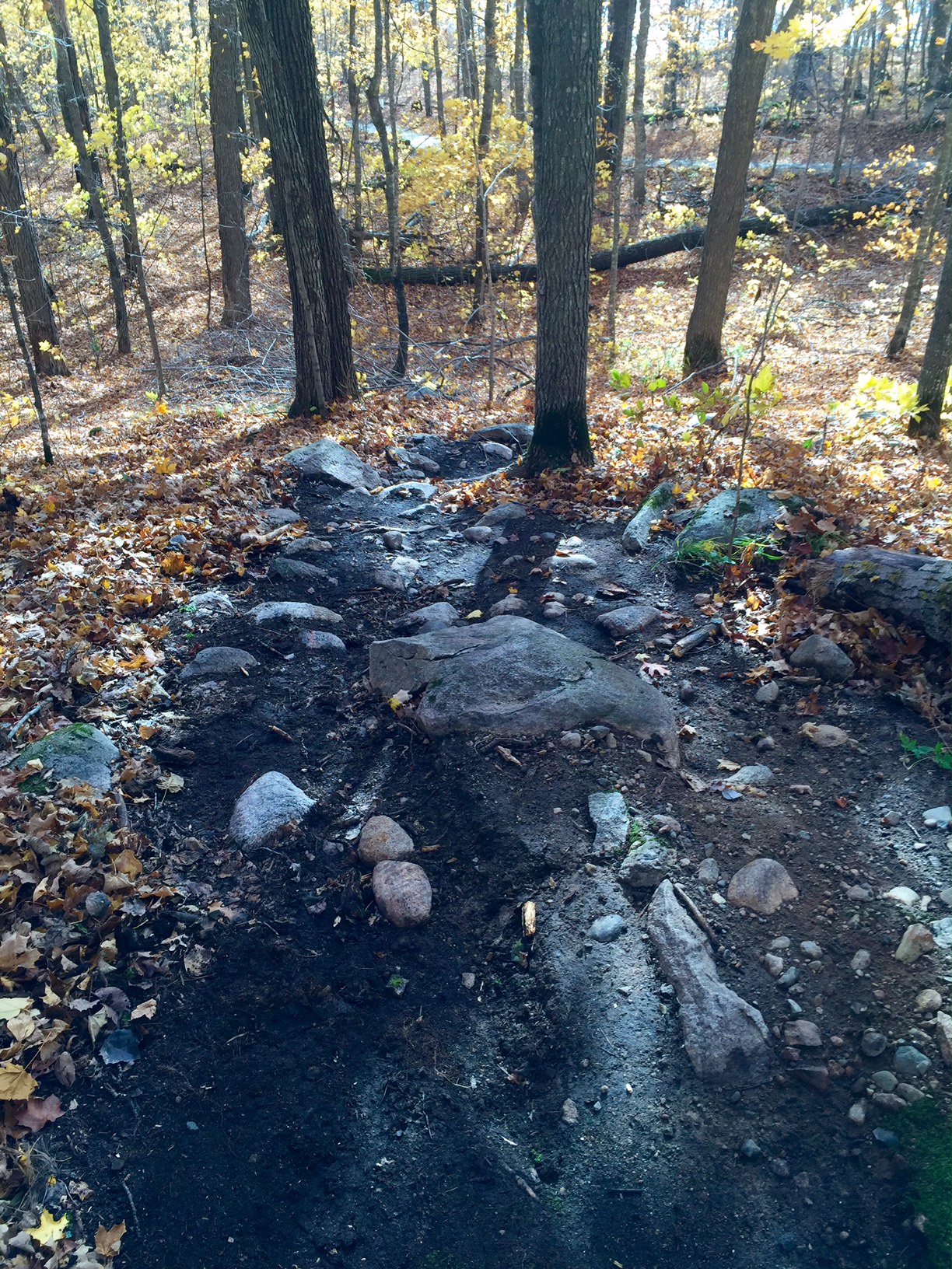 Rock garden on Twin Lakes after clearing. Three options! Stay left for cleanest line. October 14th, 2015.