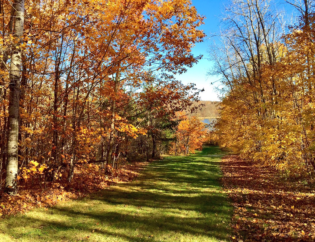 Beautiful fall scene at top of Suicide Hill, October 13th, 2015.