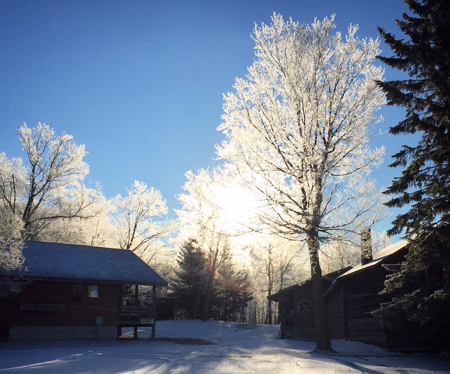 Morning sun filtering through the frost covered trees. November 21st, 2015.